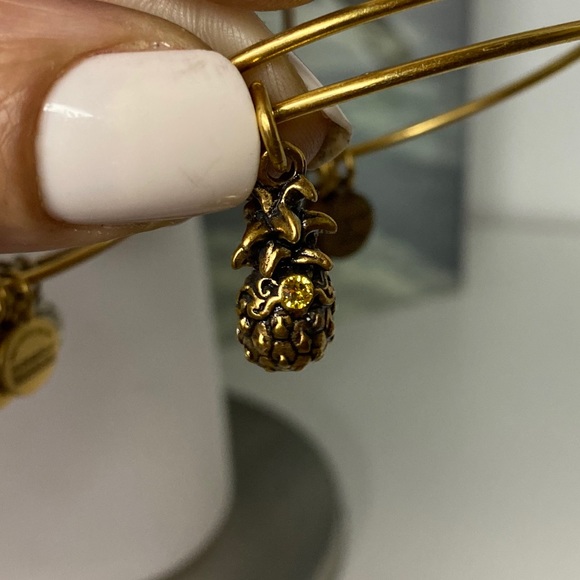 Alex and Ani 4 charm bracelet bundle - Picture 12 of 16